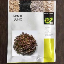 Lettuce Lunix (1000-seeds)