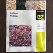 Lettuce Tuska (1000-seeds)