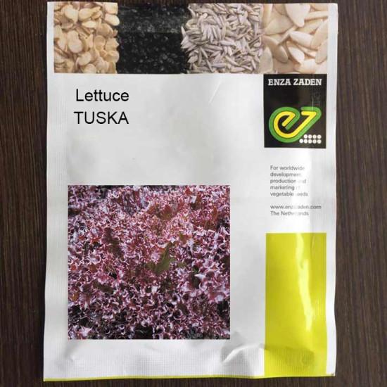 Lettuce Tuska - Enza Zaden (1000-seeds)