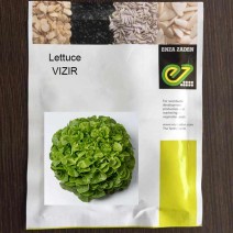Lettuce Vizir (1000-seeds)