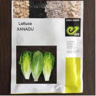 Lettuce Xanadu - Enza Zaden (1000 seeds)