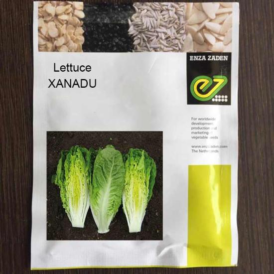 Lettuce Xanadu - Enza Zaden (1000 seeds)