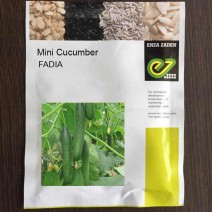 Enza Zaden - Fadia Mini Cucumber (1000-seeds)