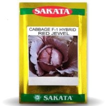 RED JEWEL CABBAGE-10g