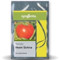 HEEMSOHNA TOMATO(Syngenta)-3500 Seeds