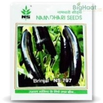 NS 797 Eggplant (Namdhari)-10g