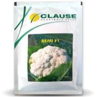 REMI CAULIFLOWER (CLAUSE)-10g