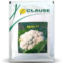 REMI CAULIFLOWER (CLAUSE)-10g