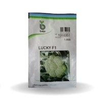 LUCKY BROCCOLI SEEDS(Bejo)-1000 Seed