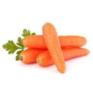ZUBERA F1 CARROT (Clause)-100g