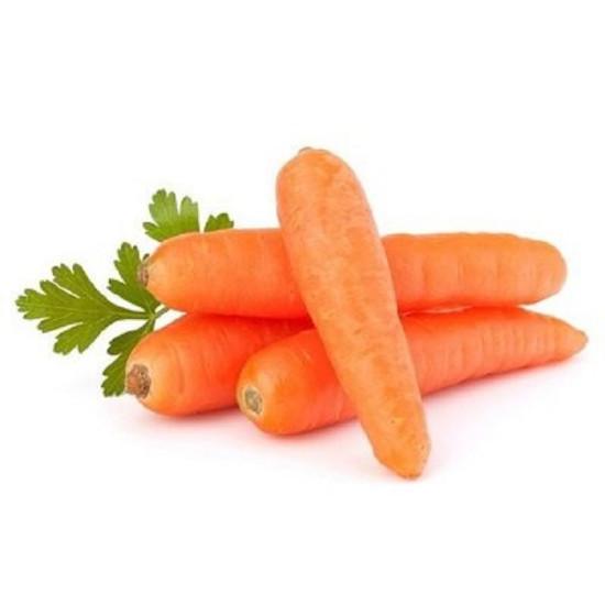 ZUBERA F1 CARROT (Clause)-100g