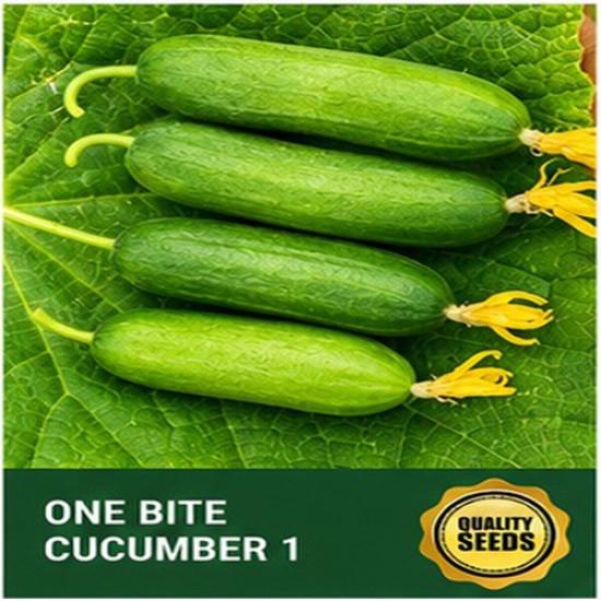 One Bite Cucumber Seeds for Hydroponics & Snack Gardening – Bio Spectrum Seeds