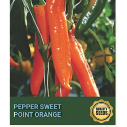Pepper Sweet Point Orange Seeds for Hydroponics
