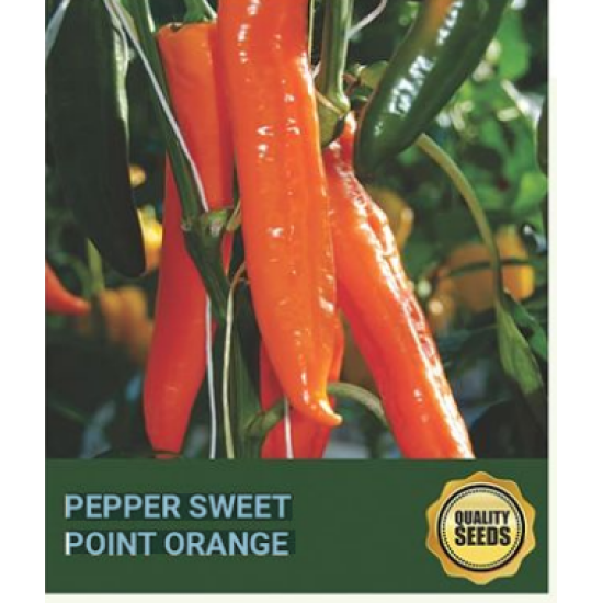 Pepper Sweet Point Orange Seeds for Hydroponics