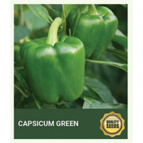 Capsicum Green Seeds for Hydroponics - 30 seeds