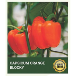 Capsicum Orange Seeds for Hydroponics - 30 Seeds