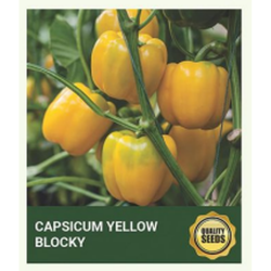 Capsicum Yellow Blocky Seeds for Hydroponics - 30 Seeds
