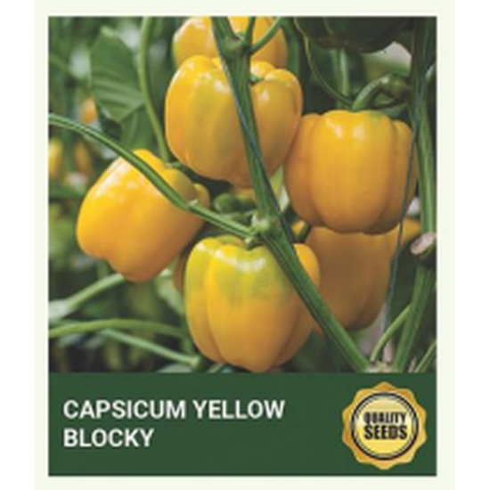 Capsicum Yellow Blocky Seeds for Hydroponics - 30 Seeds