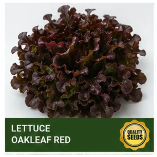 Lettuce Oakleaf Red Bio Spectrum Seeds