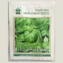 Basil Lettuce Leaf -10gm