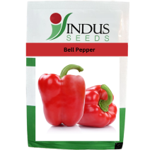 Indus - Bellpepper ( Red ) 7.3gm / 1000 seeds