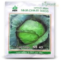 Namdhari - Cabbage (NS 43) 10gm