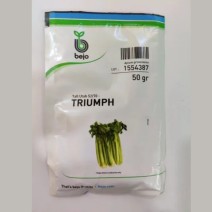 Celery (Triumph) Bejo-50gm