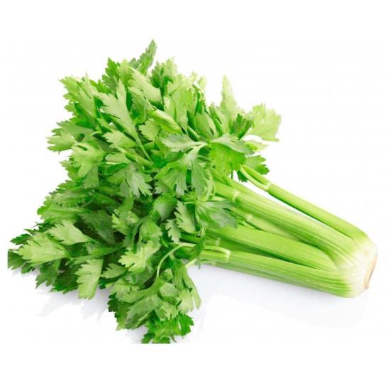 Celery (Triumph) Bejo-50gm