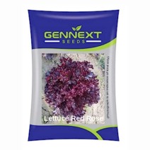 Gennext - Lettuce Redrose 10gm