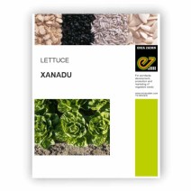 Lettuce Xanadu - Enza Zaden 1000 seeds