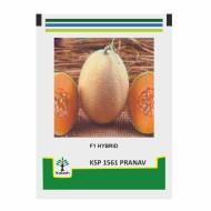 Ksp - Muskmelon F1 1490 Kalash 10gm