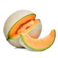 Ksp - Muskmelon F1 1490 Kalash 10gm