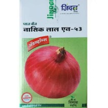Onion (Nasic Red N-53) Jindal-500gm