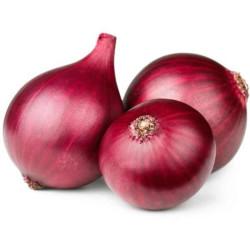 Onion (Nasic Red N-53) Jindal-500gm