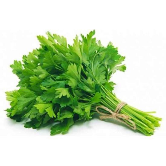 Parsley Peione -  Enza Zaden 50gm