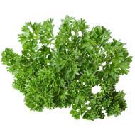 Parsley Wega Enza Zaden-50gm