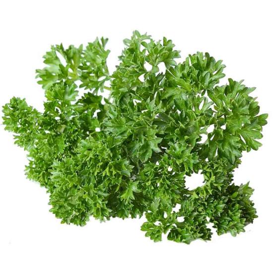 Parsley Wega Enza Zaden-50gm