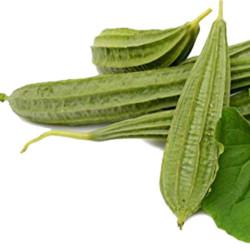 Ridgegourd ( F1 ) Team Seeds-10gm