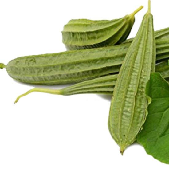 Ridgegourd ( F1 ) Team Seeds-10gm