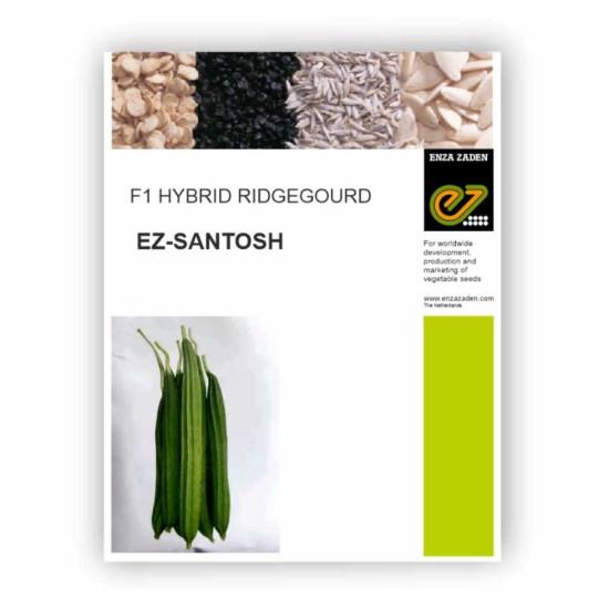 Ridgegourd Enza Zaden-10.9gm