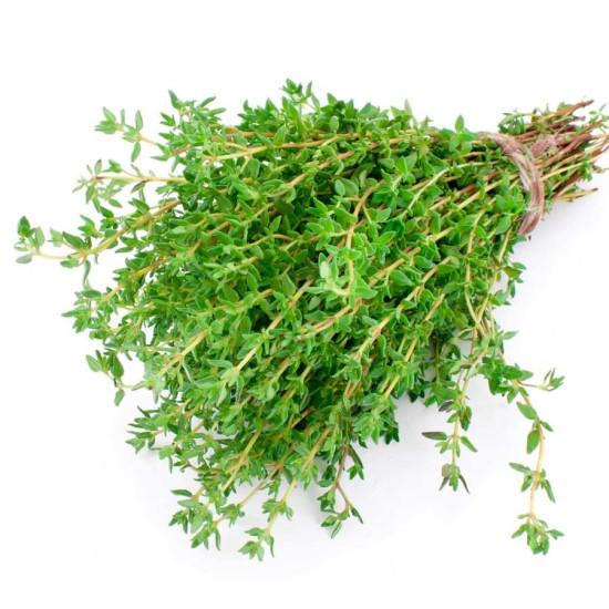 Thyme (German Winter) - Enza Zaden 10gm