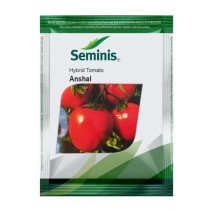 Tomato (Ansal) Seminis-7.2gm / 3500 seeds 