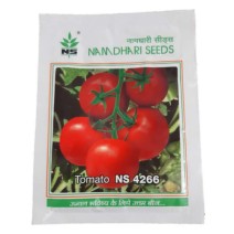 Tomato (NS 4266) Namdhari-10gm