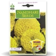 NS AFRICAN MARIGOLD MAJESTIC YELLOW(Namdhari)-pack of 5 -20 seed