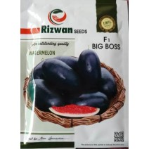 Big Boss F1 Hybrid Watermelon (Rizwan Seeds)