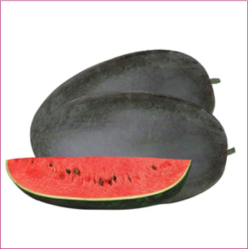 Rizwan Seeds - Big Boss F1 Hybrid Watermelon