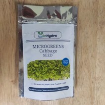 Green Cabbage Microgreens Seeds