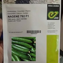 Enza Zeden Nagene Mini Cucumber -  (1000-seeds)