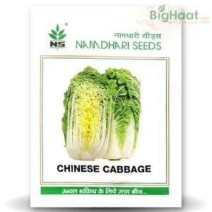NS 1461 CHINESE CABBAGE-10g