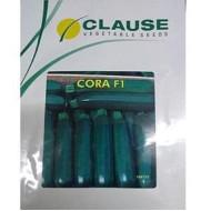 CORA F-1 GREEN ZUCCHINI-100 Seed